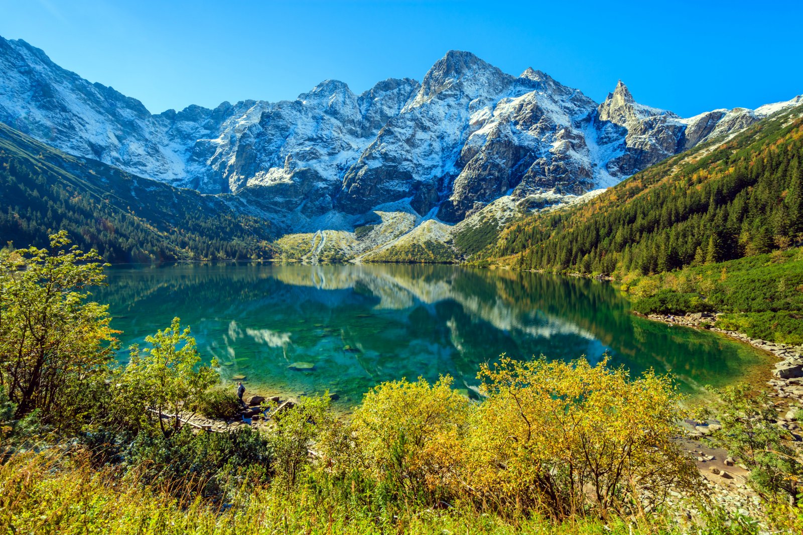 Shared mini-group tours